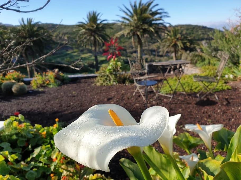 Casa Tara Ruhe Und Entspannung, Natur Pur Acardece Kültér fotó