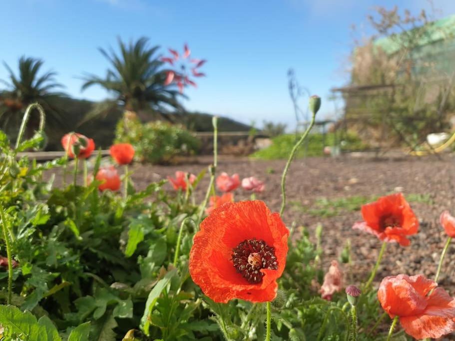 Casa Tara Ruhe Und Entspannung, Natur Pur Acardece Kültér fotó