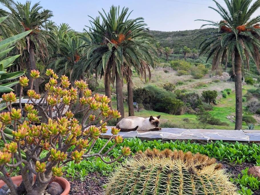 Casa Tara Ruhe Und Entspannung, Natur Pur Acardece Kültér fotó