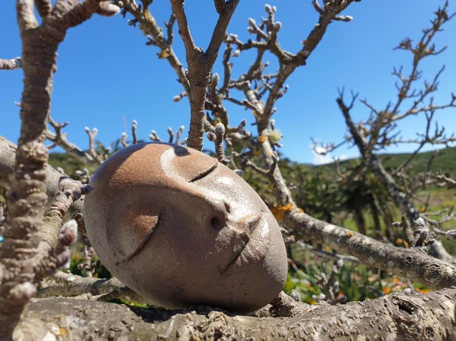 Casa Tara Ruhe Und Entspannung, Natur Pur Acardece Kültér fotó