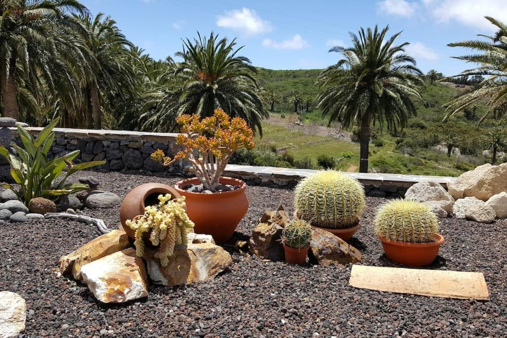 Casa Tara Ruhe Und Entspannung, Natur Pur Acardece Kültér fotó